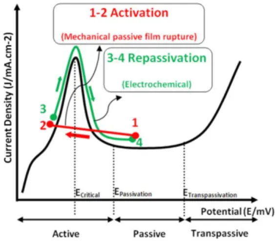 Figure  2:   Stainless  steel  polarization  curve  representing  an  activation/passivation  cycle  of SCC of stainless steel.