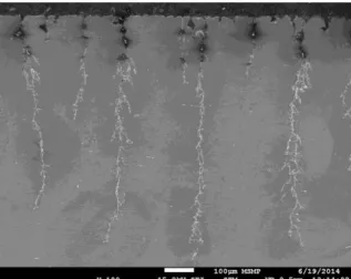 Figure 4 : Upper surface, ε = 0.16% .  Figure 5 :  Cross section, ε = 0.16% . 