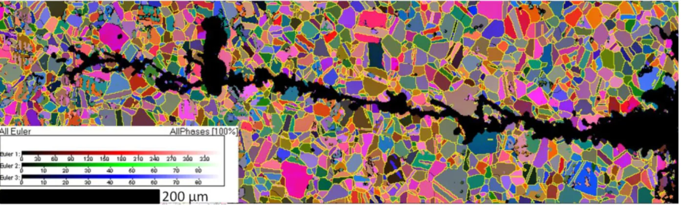 Figure 7 : EBSD map of crystallographic orientation around a SCC, σ = 245 MPa sample. 