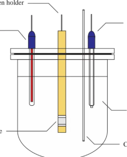 FIGURE 3.1 Schematic of three-electrode configuration used in the experiments  
