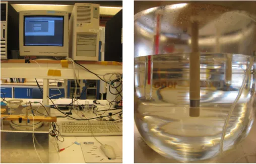FIGURE 3.2 Three-electrode corrosion cell used in the experiments 