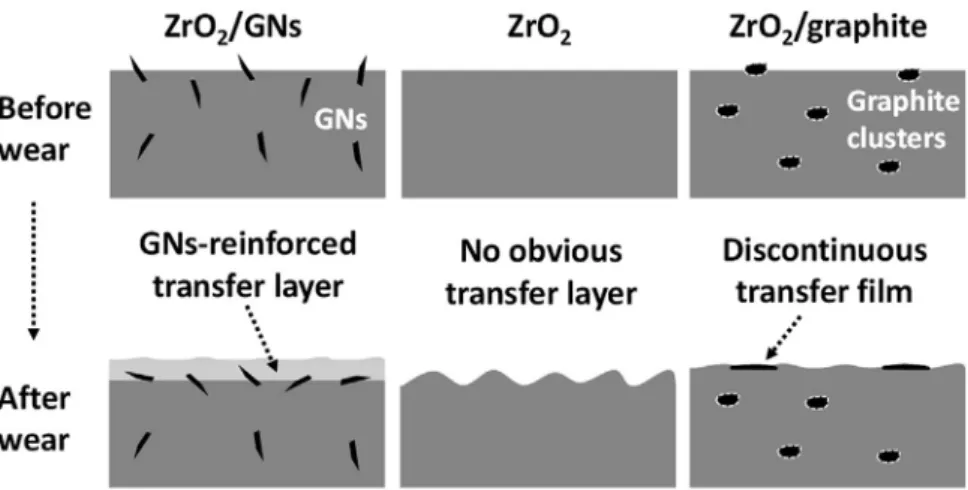 Fig. 6. Schematic of the formation of the transfer layer during wear test [89].