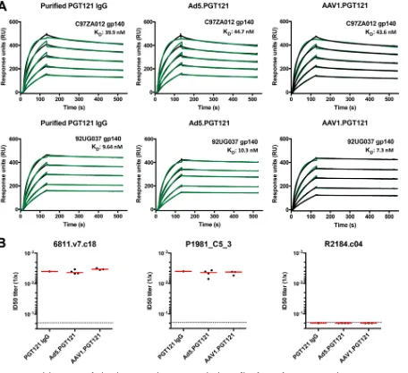 FIG 2 Functional characteristics of Ad- and AAV-vectored PGT121. (A) SPR binding proﬁles of gp140 (from C97ZA012 and 92UG037) to PGT121,from puriﬁed PGT121 IgG, or from sera of Ad5.PGT121- or AAV1.PGT121-injected mice
