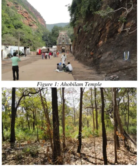 Figure 1: Ahobilam Temple 