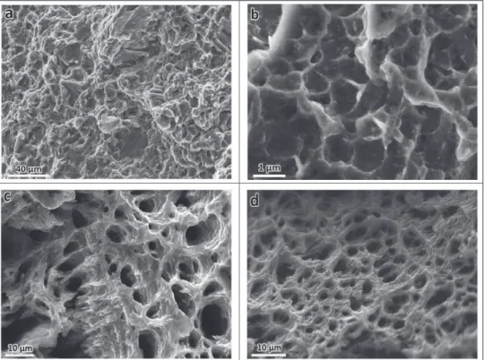 Fig. 6 - SEM micrographs of fractured tensile specimens at room temperature (a) A, (b) E3 and at 200˚C (c) A and (d) E3.