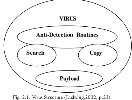 Fig. 2.1. Virus Structure (Ludwing,2002, p.23)  2.1.2      Virus Lifecycle  