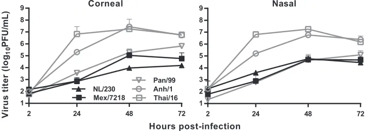 FIG 1 Inﬂuenza virus replication in primary human corneal and nasal cell monolayers after liquid inoculation