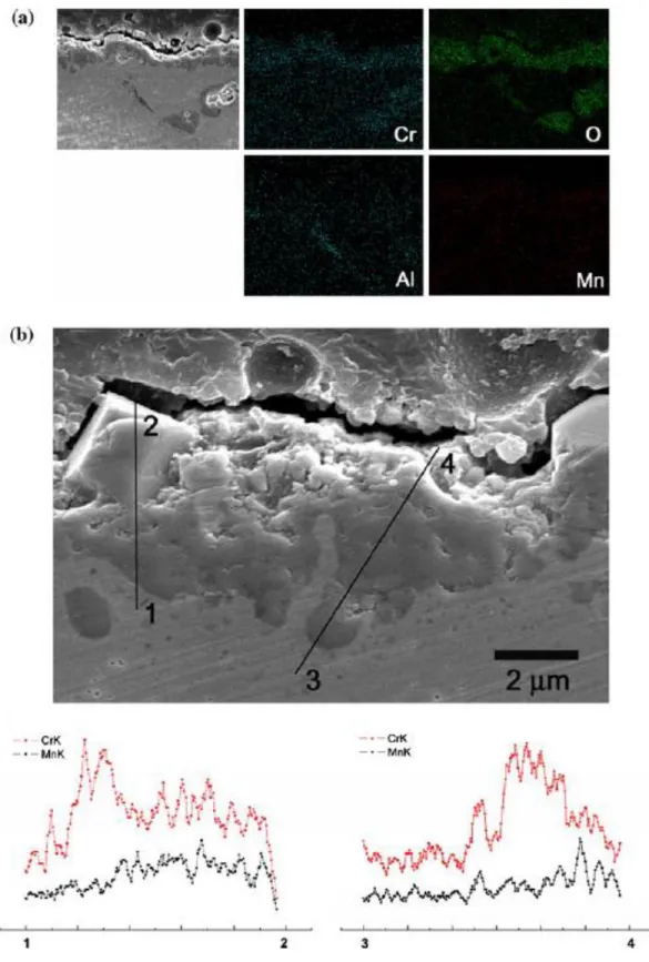 Figure  2.18  Cross-sectional  SEM  micrograph  and  EDS  analysis  for  alloy  230  oxidized  for 1000 h in air at 900 º C
