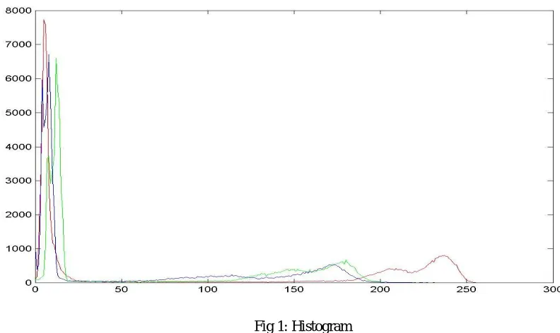 Fig 2: Input Image  