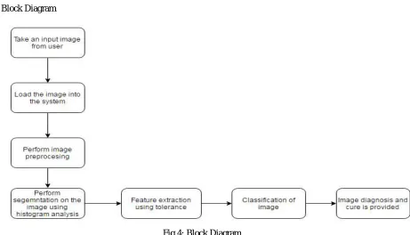 Fig 3: Output image 