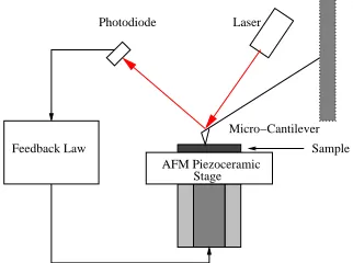 Figure 1. Schematic of an atomic force microscope.