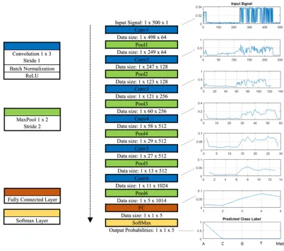 Figure 5 |  Convolutional neural network architecture for classifying the simulated 