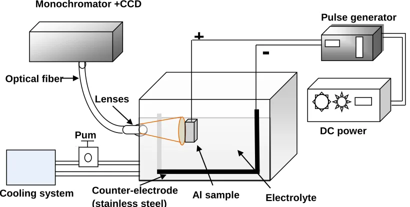 Fig. 3.2.  Schematic diagram of the experimental apparatus. 