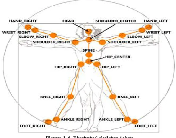 Figure 1.4. Illustrated skeleton joints 