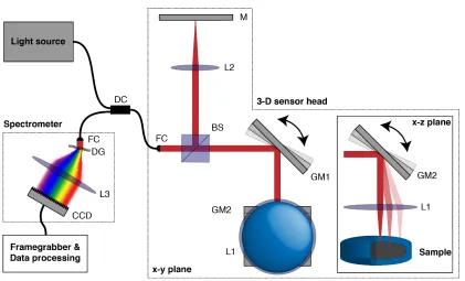 Figure 1: Schematic of OCT system for a 3D and 1D sensor head. DC – directional coupler, FF – fiber focuser, BS – beam splitter, M – mirror, FC – fiber coupler, DG – diffraction grating, Lx – lens, CCD – charged coupled device, GMx – galvanometer mirror