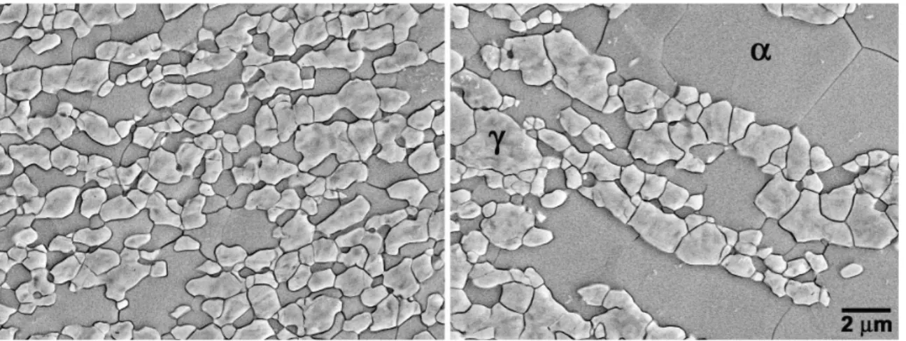 Figure 9 shows the SZ-RS and SZ-AS, illustrating  the differences in grain size of the ferrite and austenite