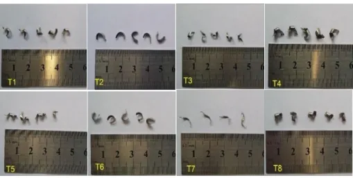 Figure 4.9 Chips of the eight cutting trials as collected after machining process 