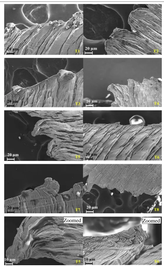 Figure 4.11 SEM images of the serreated edges of the chips, and zoomed images  for the edges of trials (T5) and (T6) 