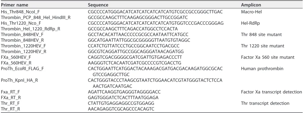 TABLE 2 Primer sequences used in the study