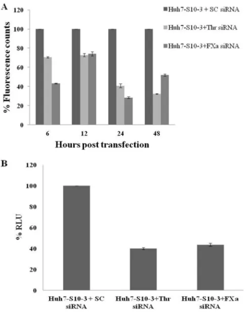 FIG 6 The activity of thrombin and factor Xa is required for HEV replication. (A) For optimization of siRNAluciferase units from three independent experiments were converted to percentages, with values forplotted in terms of percent ﬂuorescence counts