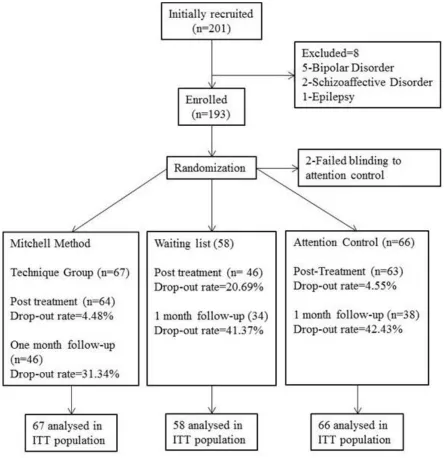 Figure 1. Participants flow chart according to the revised CONSORT statement (2001).  