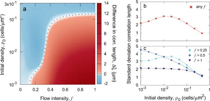Fig 4. Model output: Mean cluster size and variability. a) Difference in correlation length resulting from investing incell adhesion for different flow intensities and initial colonization densities