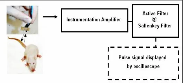 Figure 1.2 Block diagram on how the detector circuit works 