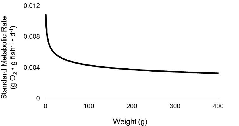 Figure 1.1. Maximum food consumption rate of a Yellow Perch  Perca flavescens at 23°C (Kitchell et al