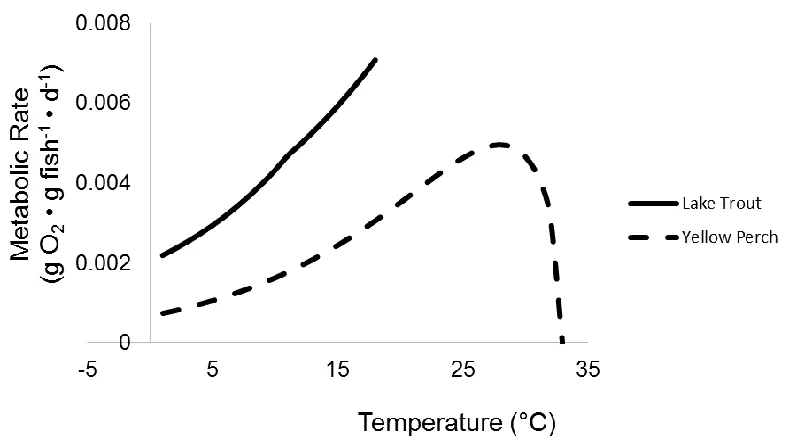Figure 1.3 Maximum food consumption rates of a 50g Lake Trout  Salvelinus namaycush (Stewart et al