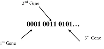 Fig. 3. Chromosome structure