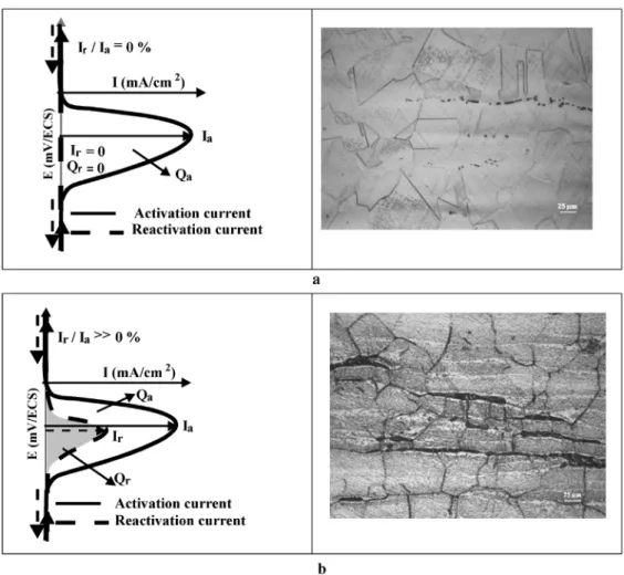 Fig. 1. DL-EPR responses and IGC sensitization criterion: (a) unsensitized material (I r /I a < 1%); (b) sensitized material (I r /I a  1%).