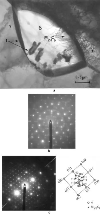 Fig. 5. Decomposition of d ferrite after aging at 550  C during 10 000 h (TEM exam- exam-ination): (a) Decomposition of d ferrite into M 23 C 6 and regenered austenite ( g r ); (b) SAD of M 23 C 6 carbide and regenered austenite ( g r ); (c) Nucleation of