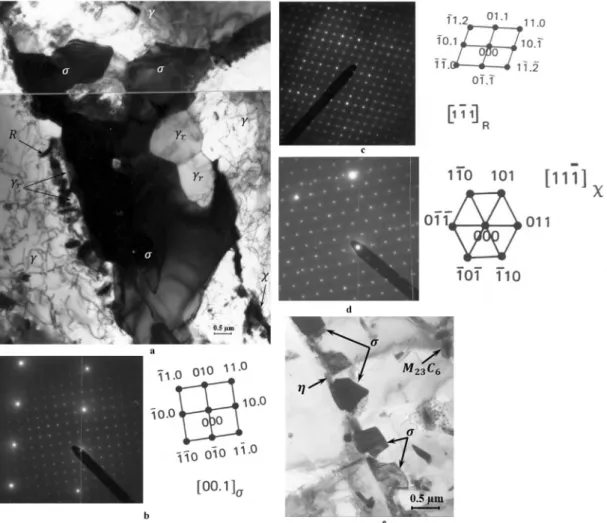 Fig. 8. TTP diagram of AISI 316 L with low ferrite content using TEM examination results.