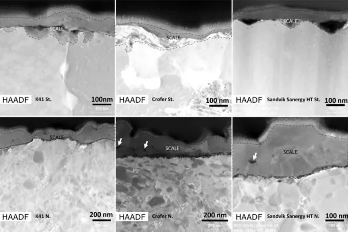 Fig. 6 shows two cross sections taken from ASR-aged substrates of nitrided AISI441/K41 and Sandvik Sanergy HT for 1000 h, in which both substrates carried a porous protective coating