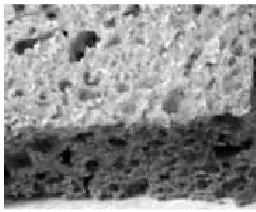 Figure 2.1: Activated carbon 