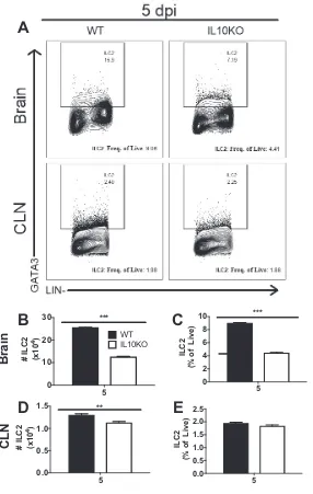 FIG 9 Effect of IL-10 deﬁciency on ILC2 cells. WT and IL-10brain (B and C) and CLN (D and E)