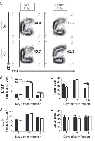 FIG 5 Effect of IL-10 deﬁciency on CD4postinfection (dpi) is shown. (A) Representative ﬂow cytometry plots of cells isolated from brain and CLNat 7 days after infection