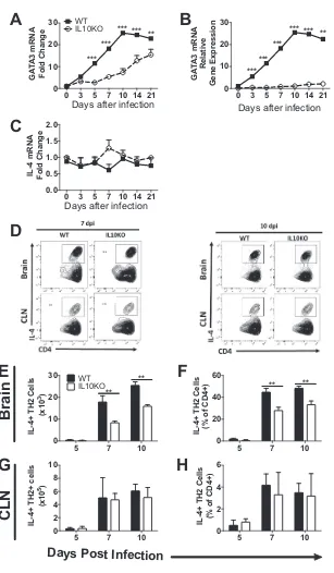 FIG 8 Effect of IL-10 deﬁciency on Th2 cells and Th2-related cytokines. WT and IL-10bars) or IL-10independent experiments and are presented as the mean0.01;intranasally infected with 10�/� B6 mice were5 PFU TE12