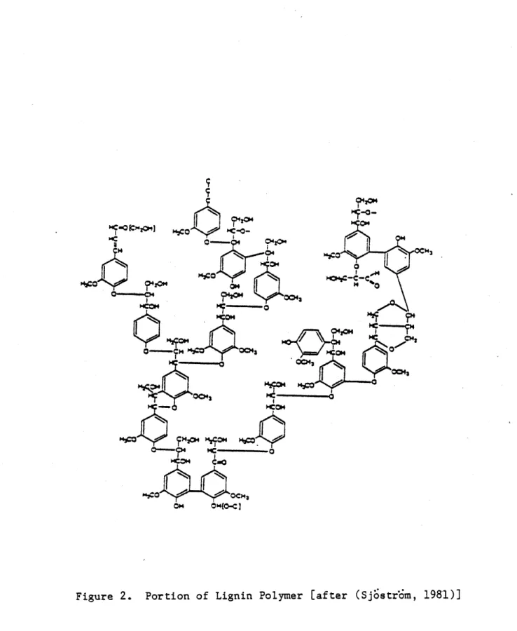 Figure  2.  Portion of  Lignin Polymer  [ a f t e r   ( S   j&amp;tr.dm,  1981)J 