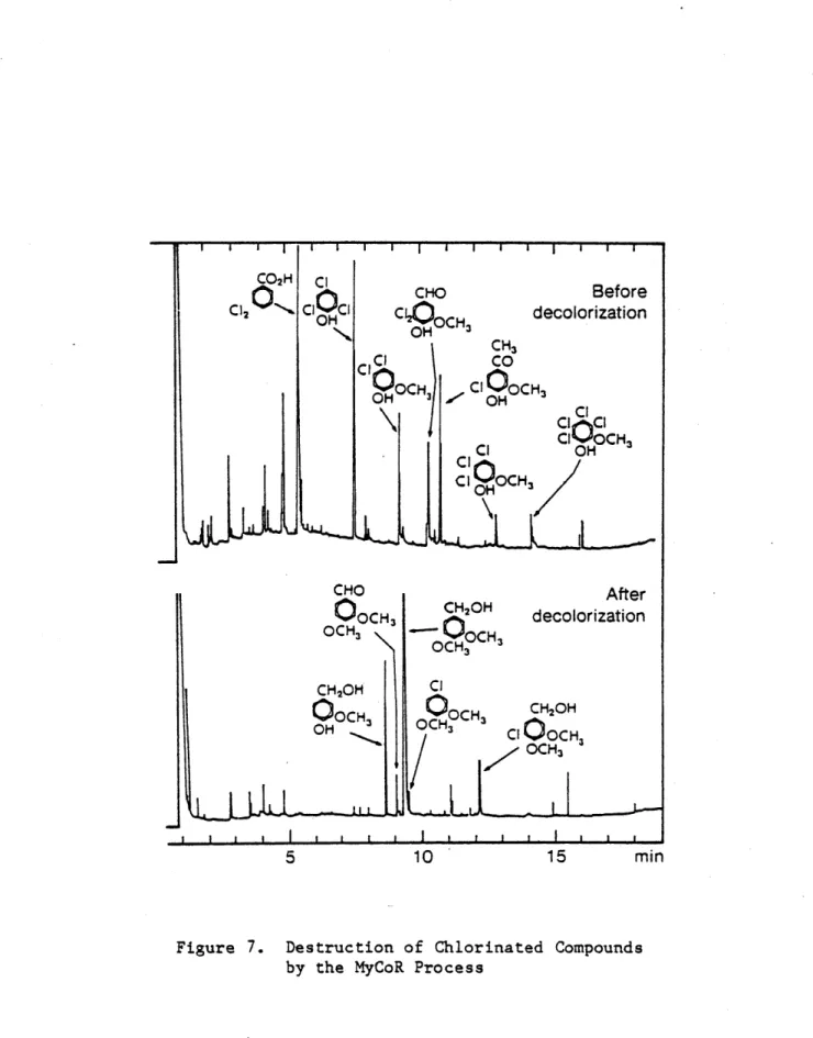 Figure  7.  Destruction of  Chlorinated  Compounds  by  the  MyCoR  Process 