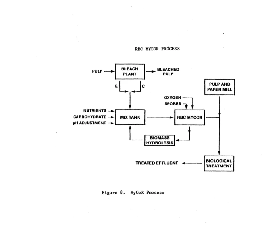 Figure  8 .   MyCoR  Process 