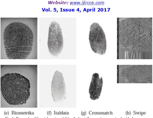 Fig 1: Example of live (above) and fake (below) fingerprints acquired with 4 sensors  