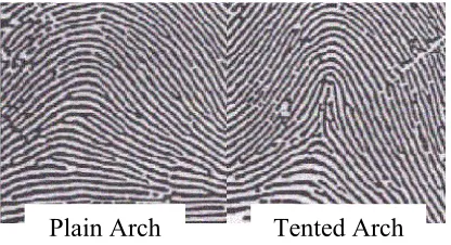 Figure 2.1 Types or arch patterns