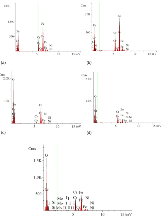 Figure 9.—EDS analysis of stainless steel 304 samples. (a) Bulk of reference. (b) Bulk of exposed  sample for 30 days