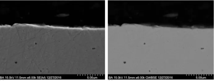 Figure 11.—Cross-sectional of reference stainless steel 316 coupon sample. (a) SEM. (b) BSE