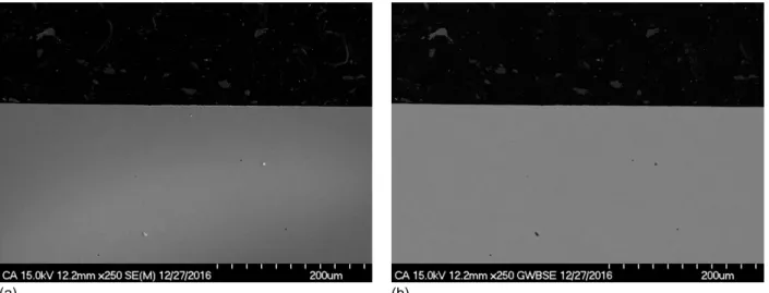 Figure 15.—Cross-sectional reference A36 low carbon steel coupon sample. (a) SEM. (b) BSE