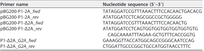 TABLE 1 Primer sequences for cloning