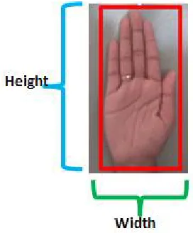 Fig 3: Boundary Rectangle  
