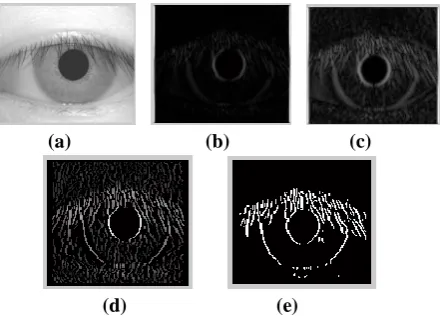 Fig 3 : (a) input image, (b) smoothed image, (c) output of gradient magnitude, (d) output of nan-maxima suppression,  (e) edge map