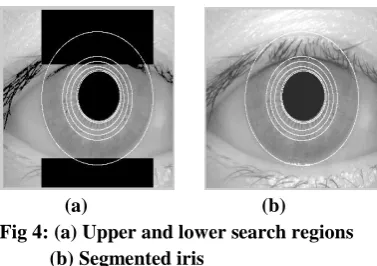 Fig 4: (a) Upper and lower search regions            (b) Segmented iris  